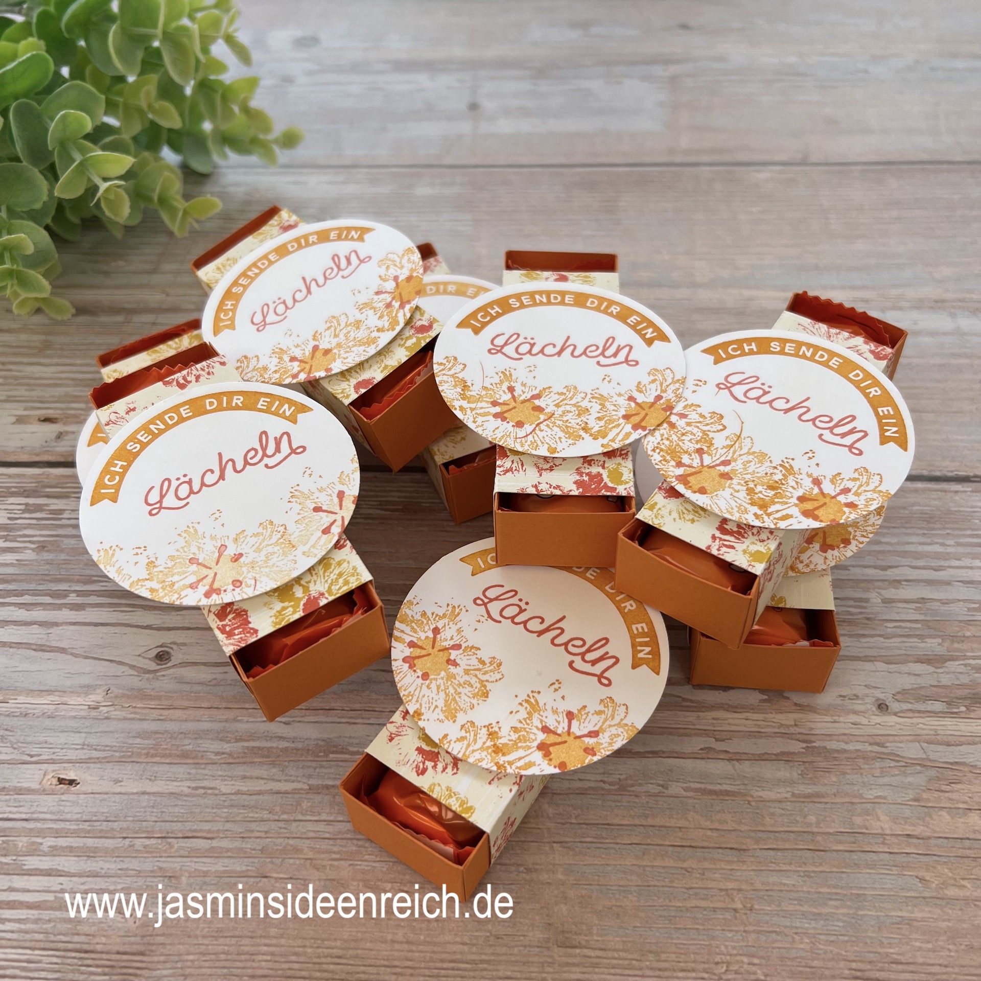 27.06.23 - Goodies 1.jpeg